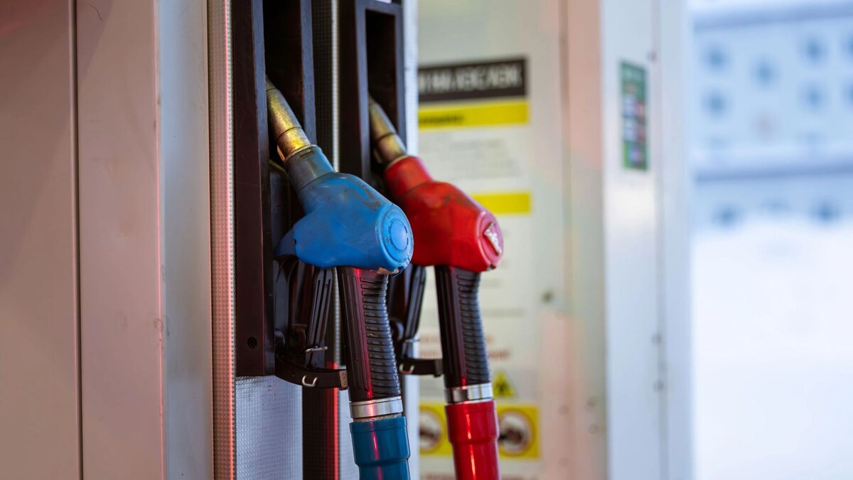    Фото: Юлия Чудинова / «Ямал-Медиа»