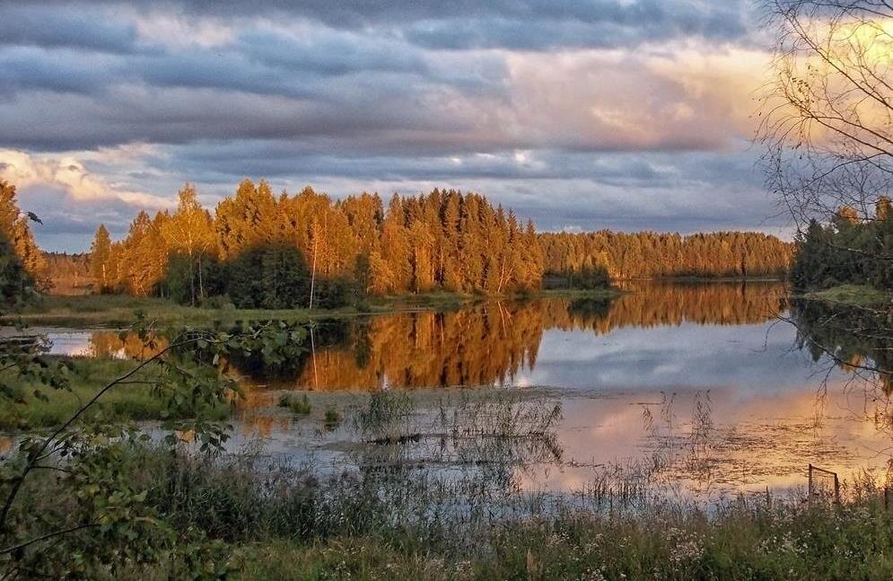 Валдай, д. Ключи, 2012г., фото автора