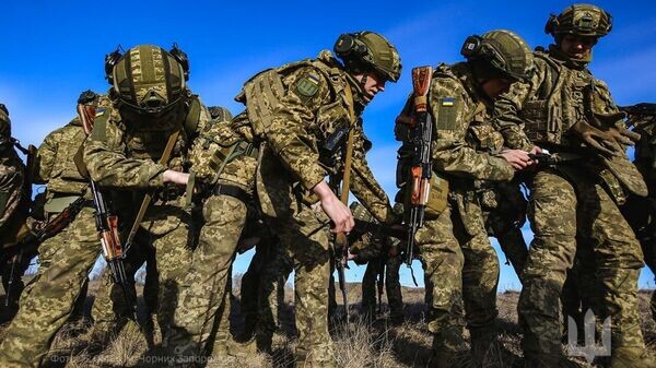    © Фото : Сухопутні війська / Telegram
