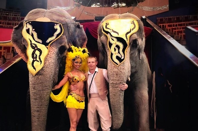 Слонихи Магда и Дженни