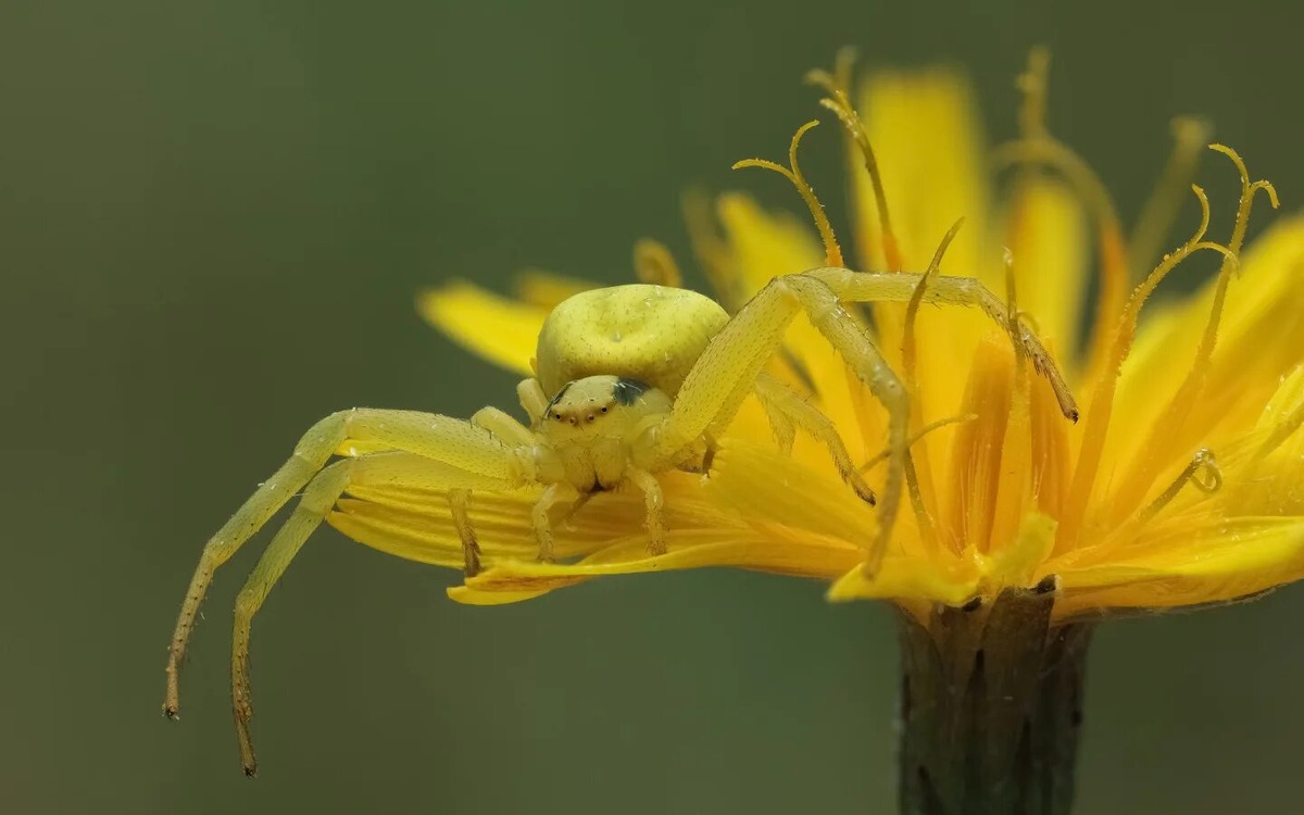 Фотография взята из открытых источников