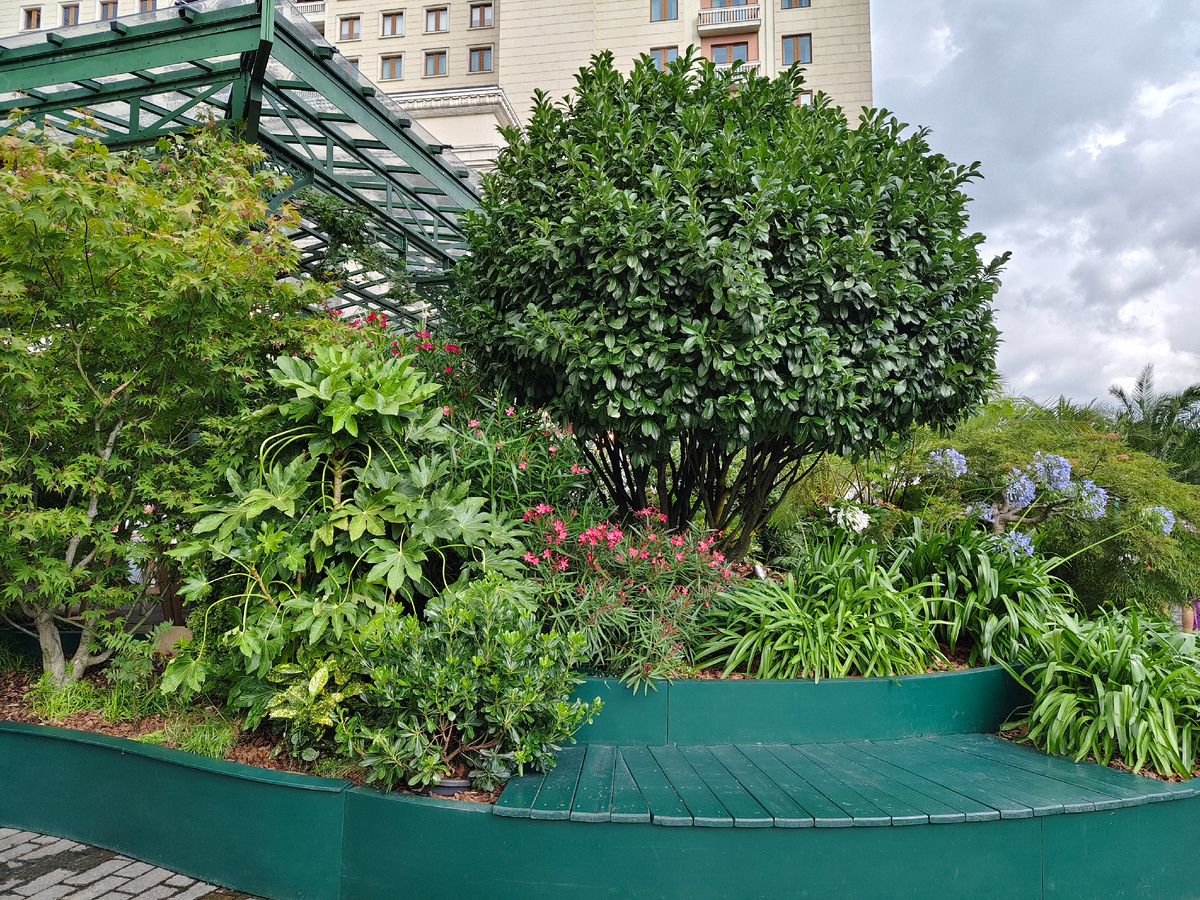 Фестиваль "Московские сезоны"