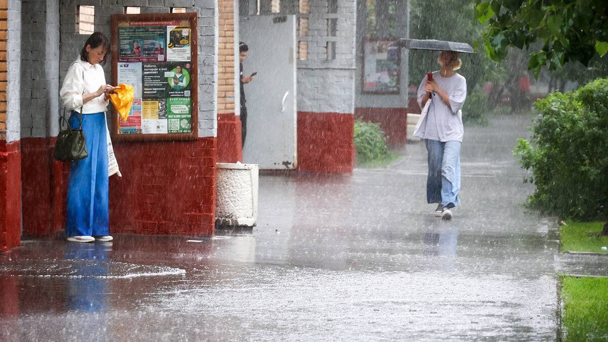    Фото: Ярослав Чингаев / АГН Москва