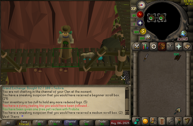    Геймер срубил 54 млн деревьев в MMORPG ради армии бобров