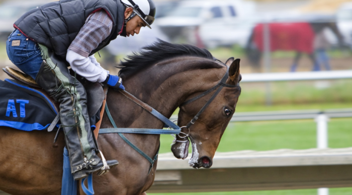 В мире профессионального спорта вращаются огромные деньги, не видимые непосвящённым / Фото: pxhere.com