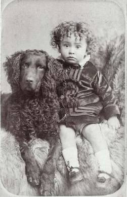 Ребенок с пастушьей собакой породы ретривер 1860-е гг.