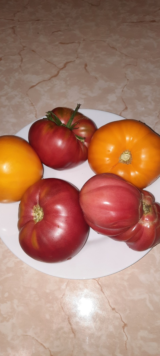 А у вас какие выросли? Кидайте фото в комментарии!