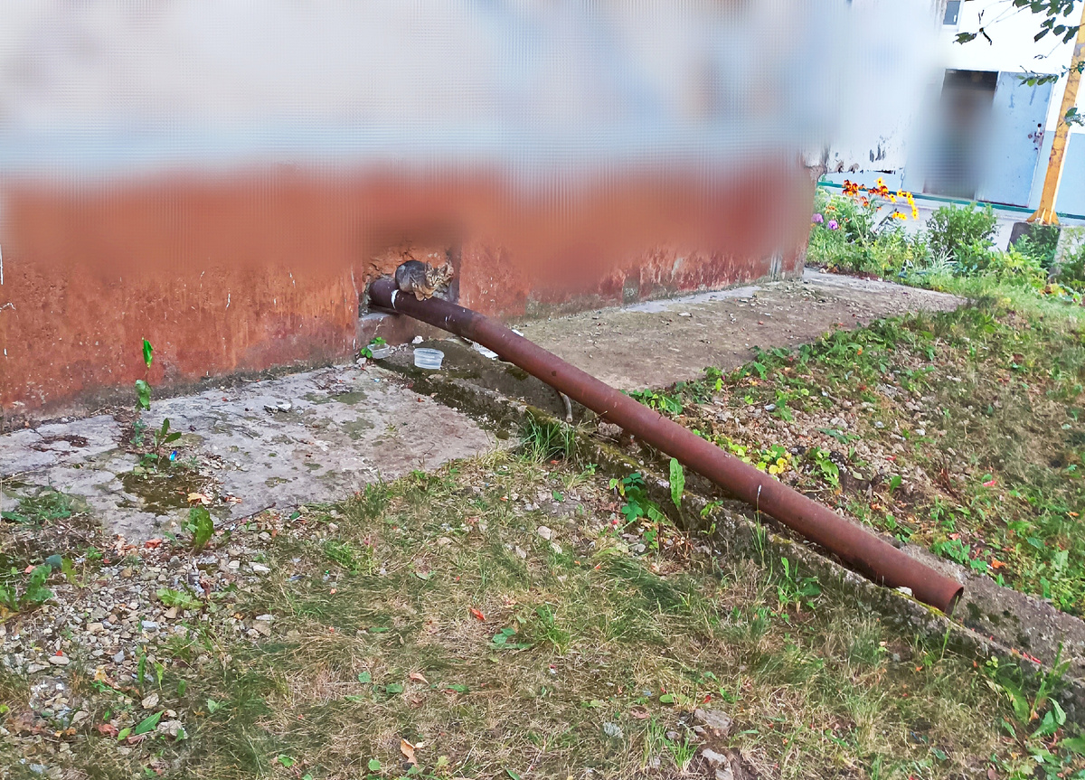 Фото даже местами пришлось немного размыть, чтобы не шокировать, я живу в весьма "колоритном" месте