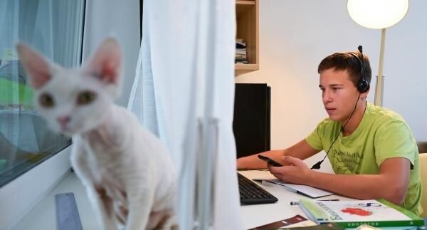    РИА «Новости»