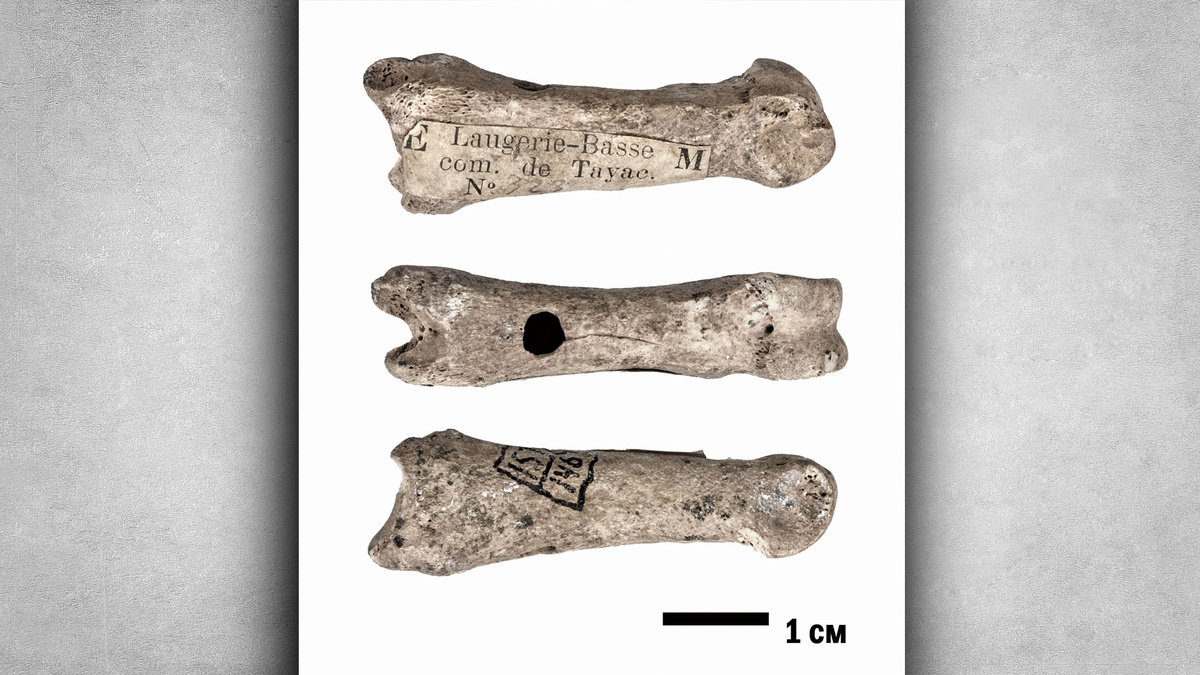 Костяной свисток. Верхний палеолит. Материал: кость северного оленя
