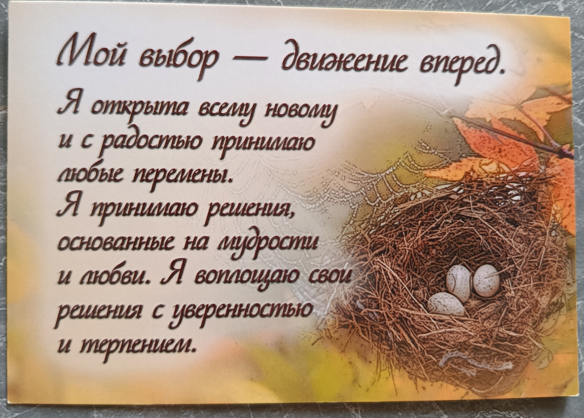 Девиз выходных дней первой недели августа.