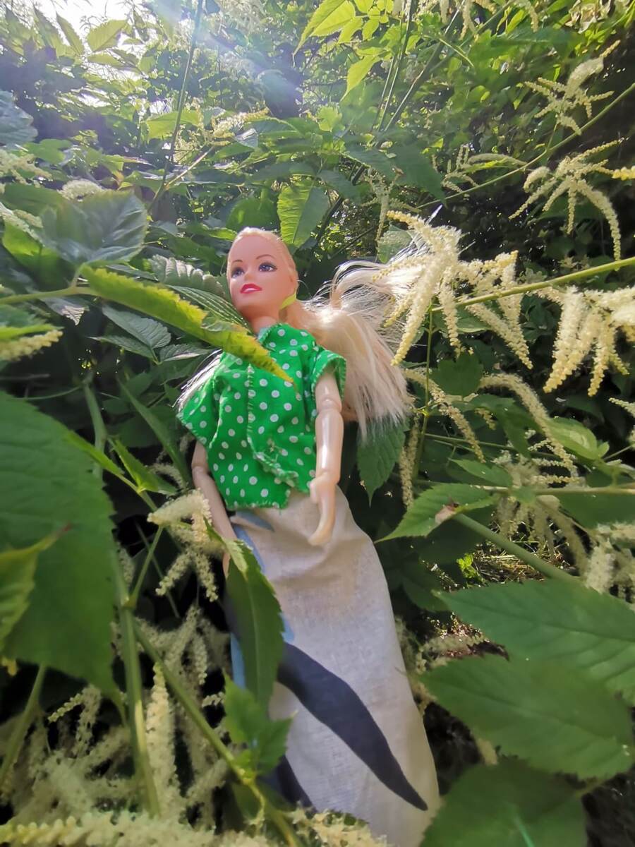 Николета и белый куст