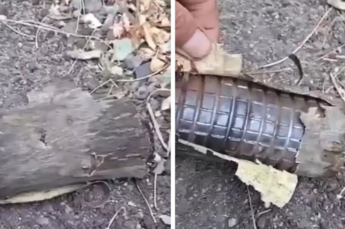    ВСУ начали использовать мины, замаскированные под бревна