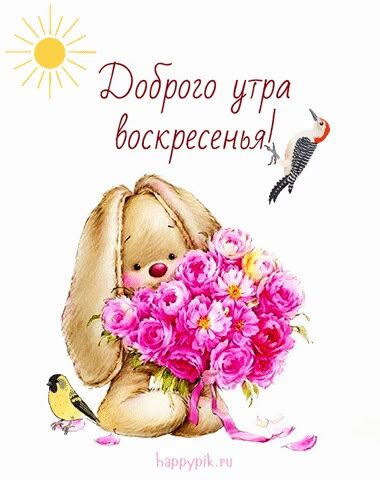 Из интернета для хорошего настроения 🫶🏻💐