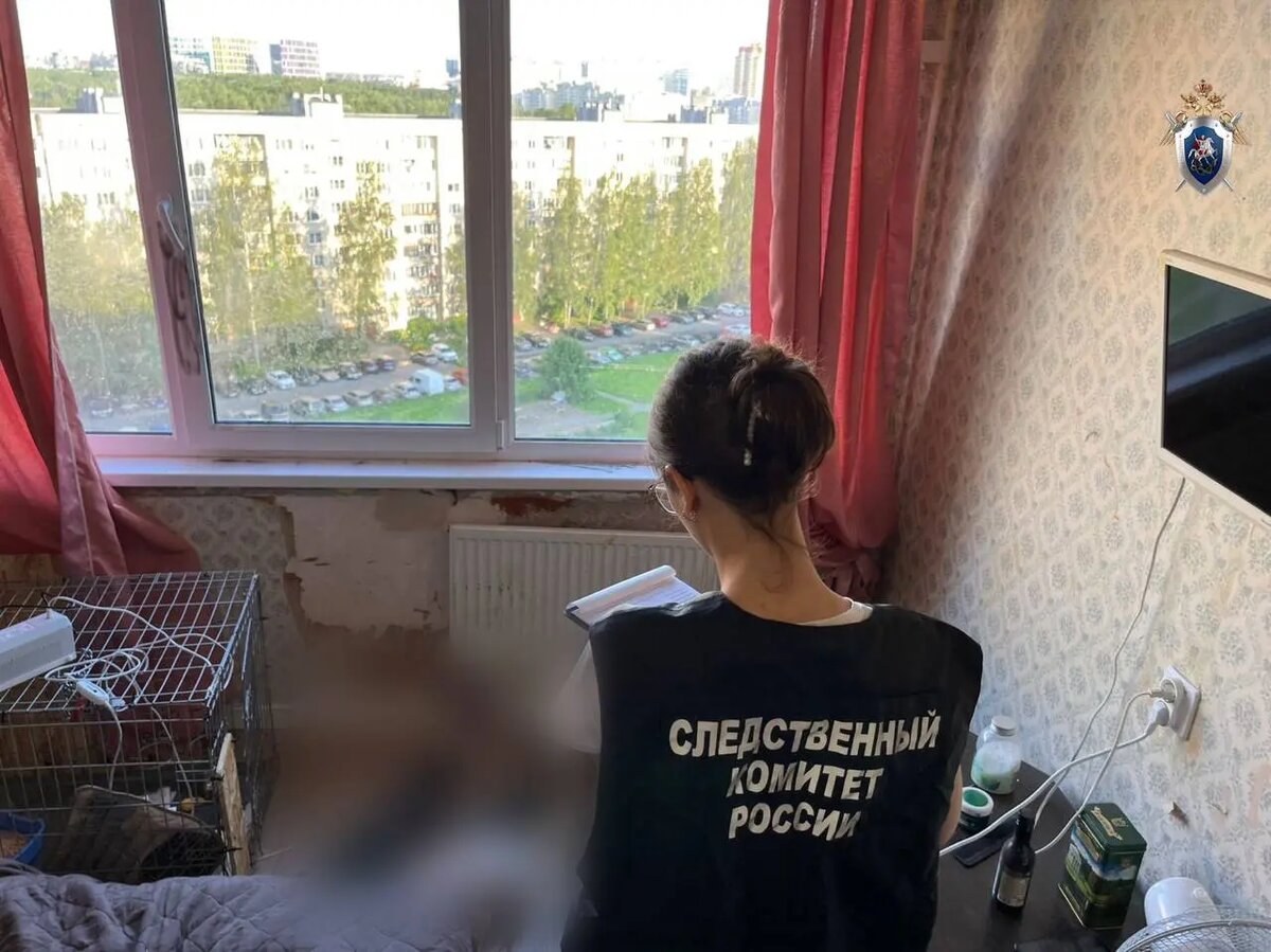    Фото: ГСУ СК по Петербургу