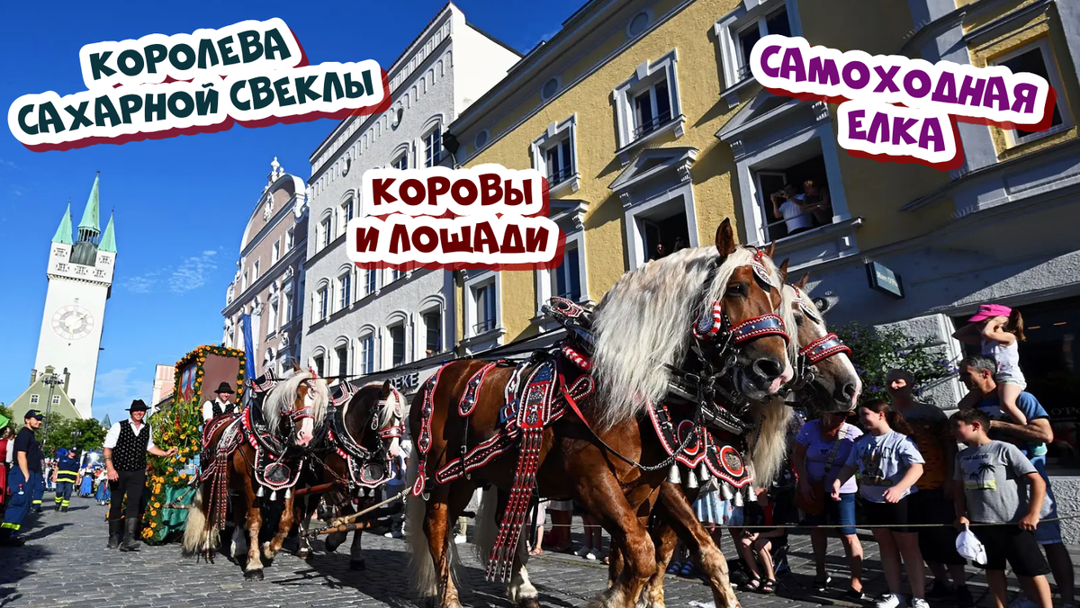 Фестиваль «Гойбоденфольксфест»