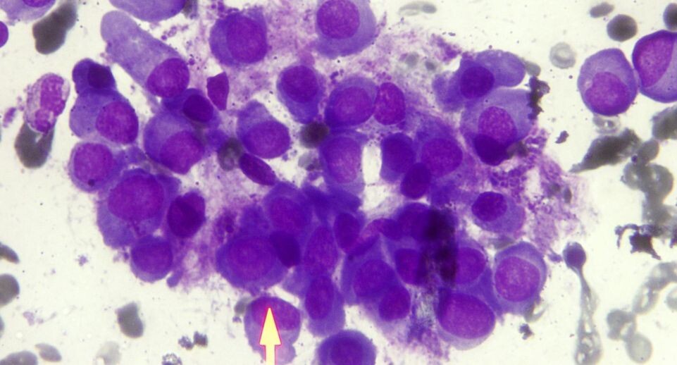    008 Soba Hospital/Medicimage/Global Look Press / www.globallookpress.com