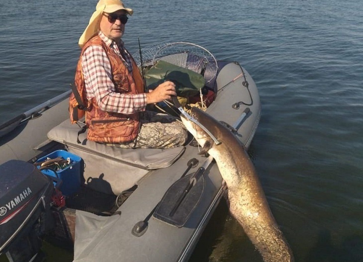 Волгоградец выловил полутораметрового чудо-сома