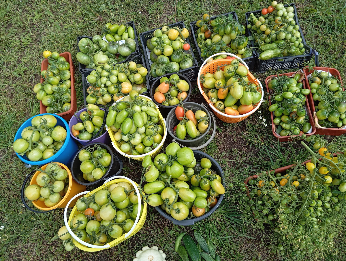 Примерно 11 ведер