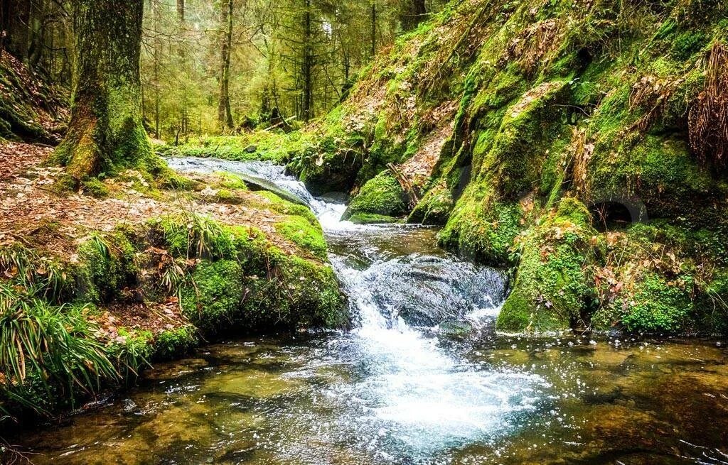 фото из интернета