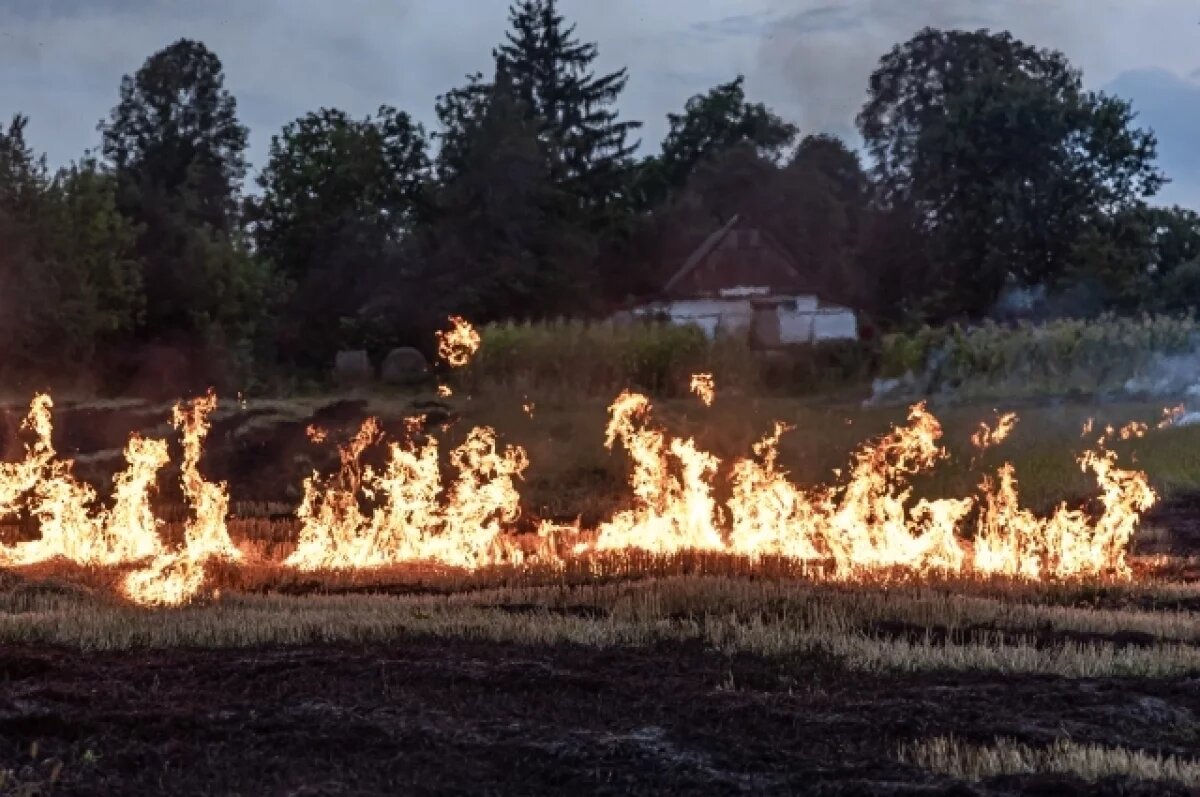    В Крыму природный пожар локализовали на площади два гектара