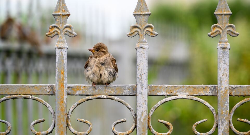    Медиасток.рф