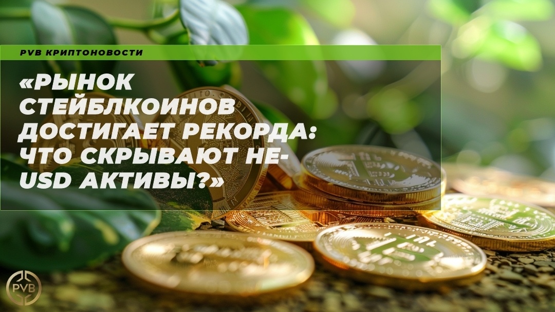    rynok-steyblkoinov-dostigaet-rekorda-chto-skryvayut-ne-usd-aktivy PVB_EXCHANGE