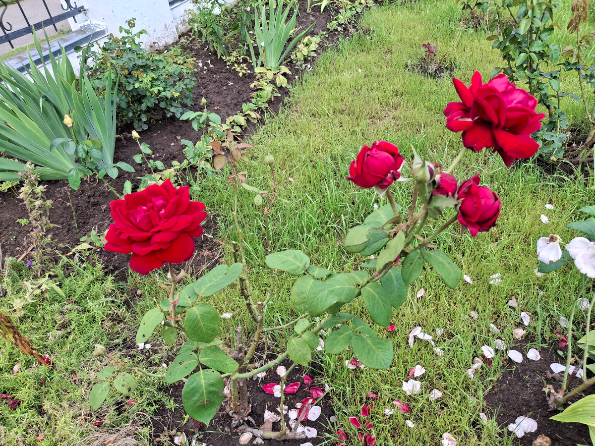 Просто сделала фото