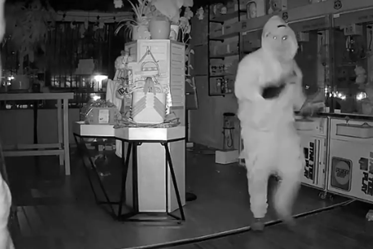 Удалось запечатлеть грабителей