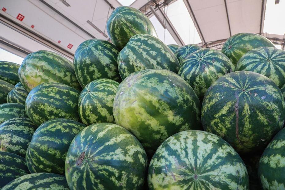    Сергей Булкин/NEWS.ru