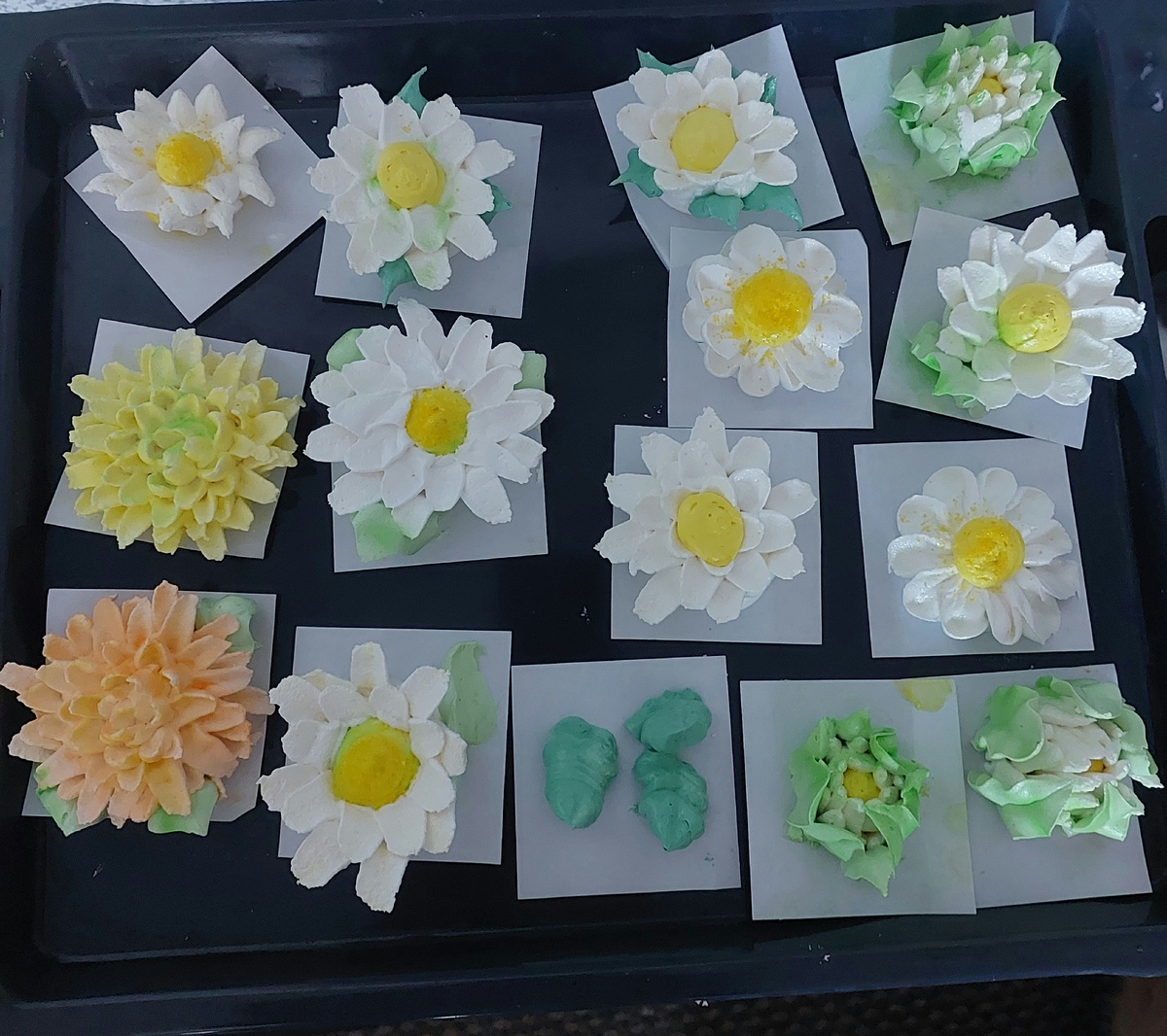 Мои цветочки.