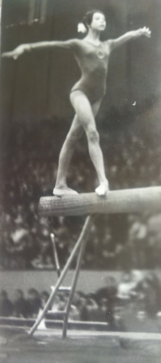 Равновесие на бревне