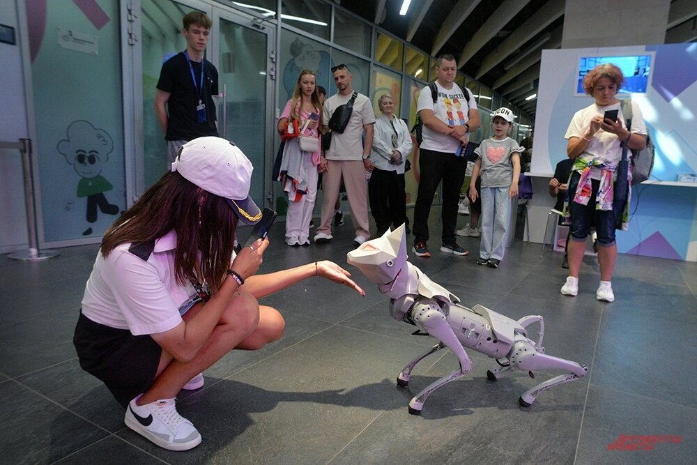    Фото: АиФ/ Эдуард Кудрявицкий