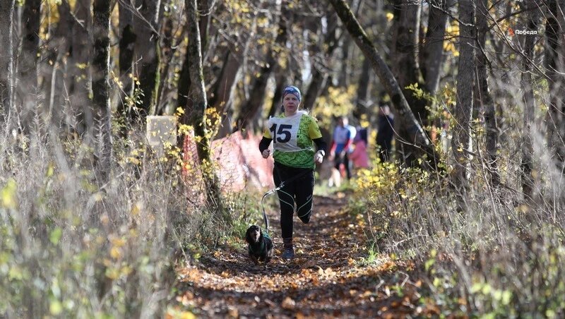      Фото: Дмитрий Ахмадуллин / / ИА «Победа26»
