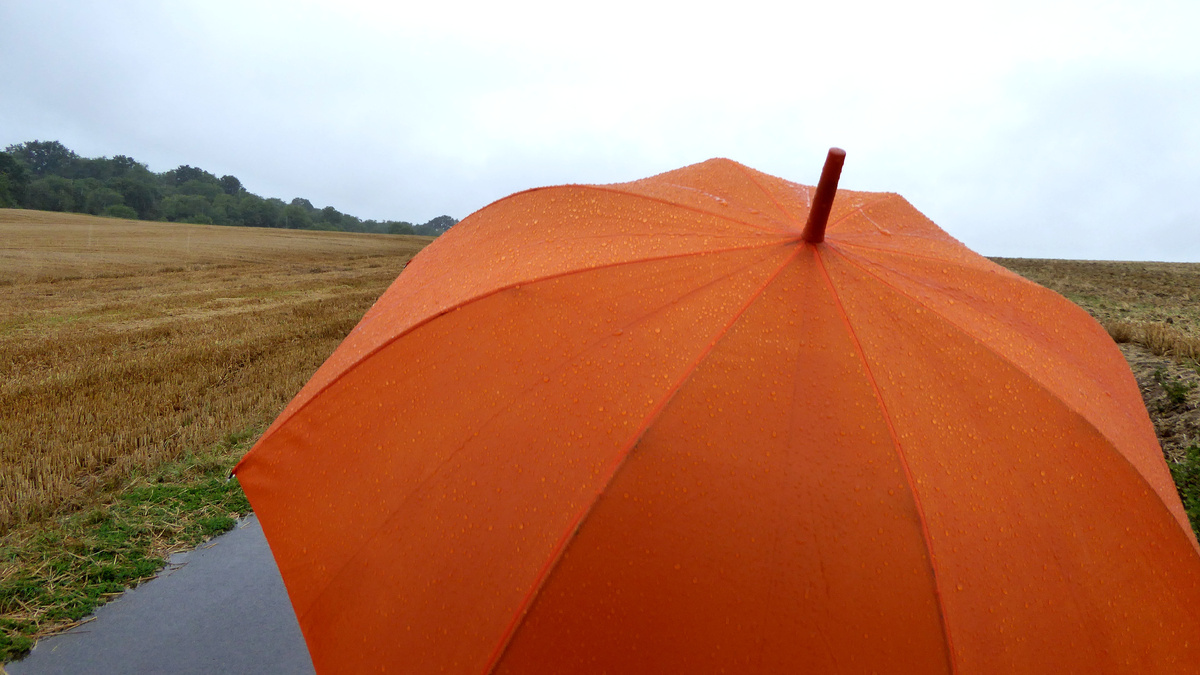 Erich Ferdinand – «Orange» // flickr.com