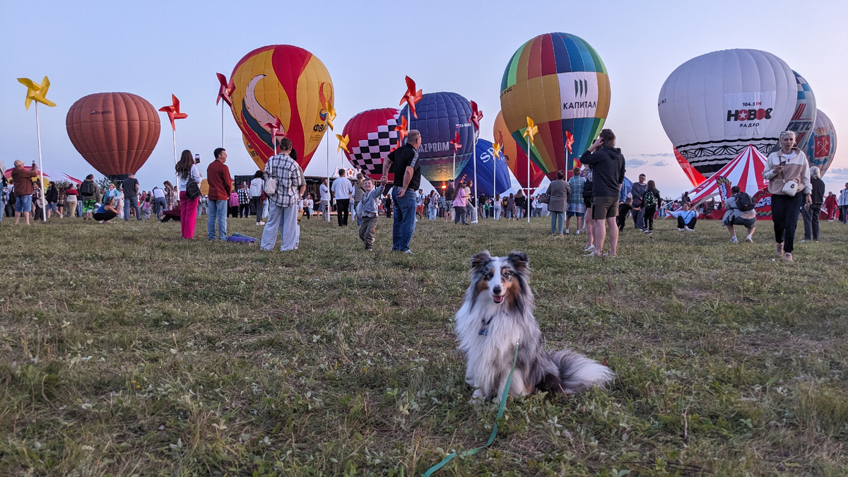 Какова красота 🫶