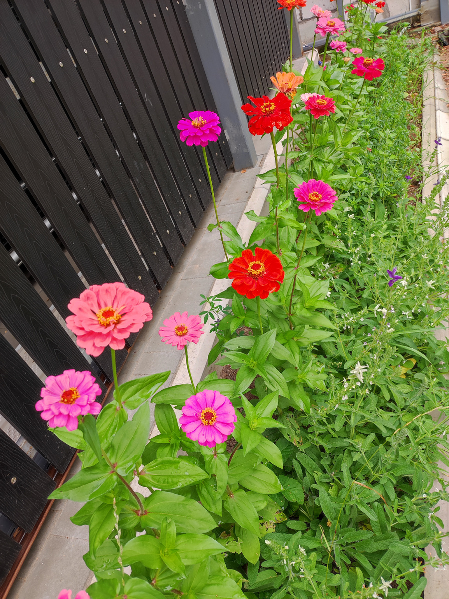 Ни одного, одинакового по цвету