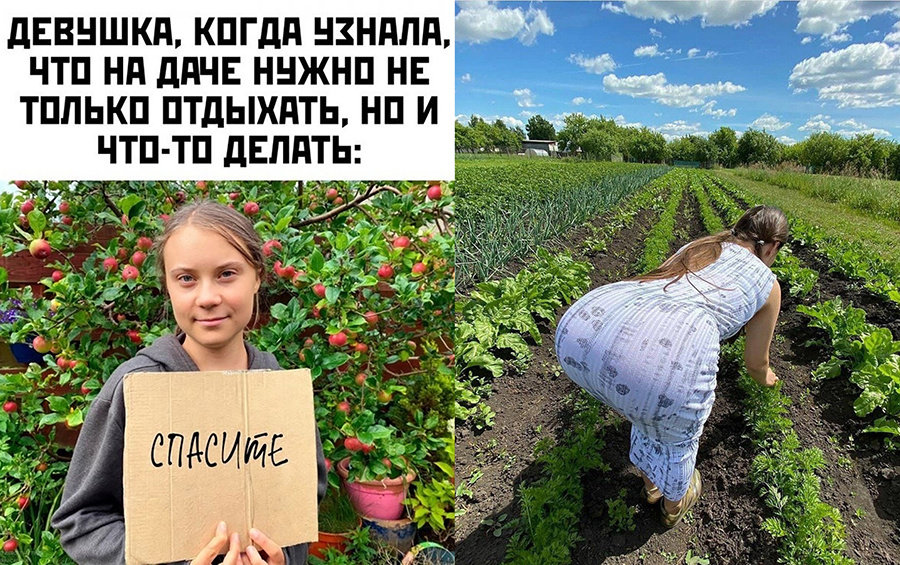 Дачницы