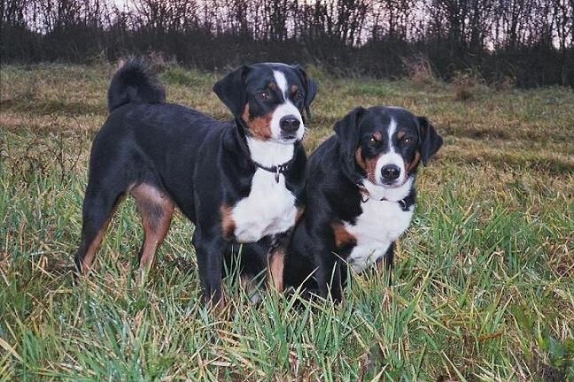 А мы на Альпах!