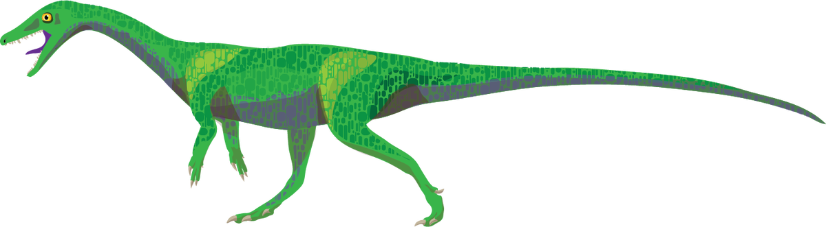 Пнг иллюстрация целофизиса.