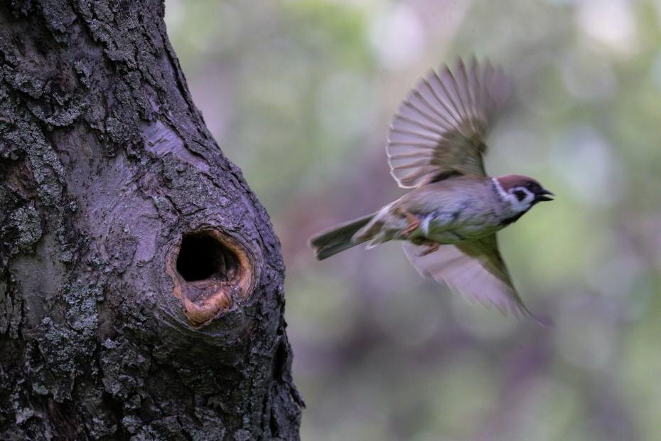    Сергей Булкин/NEWS.ru