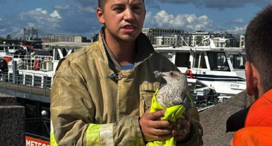    Пресс-служба МЧС