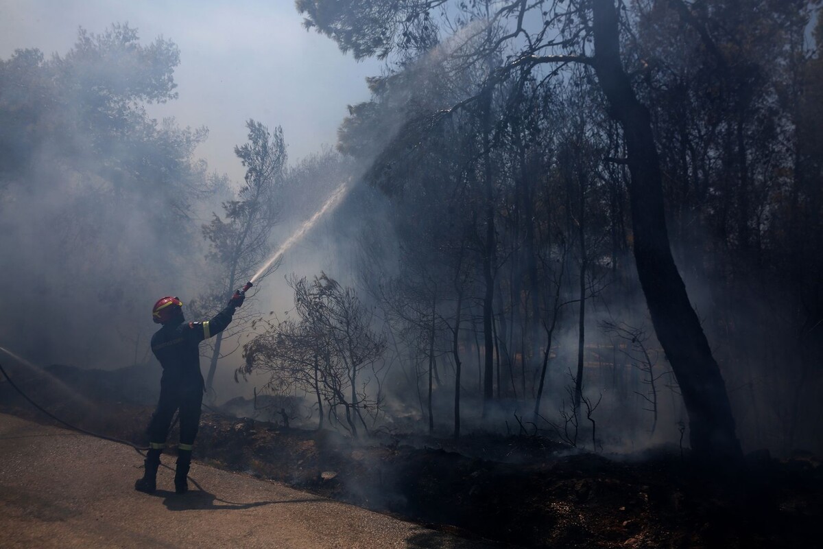     / Источник: ©TASS/EPA