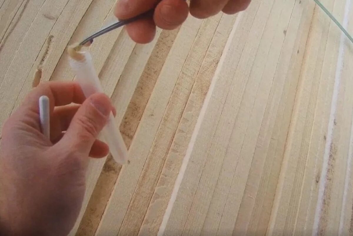    В Хабаровском крае нашли кишащую личинками экспортную древесину для Китая