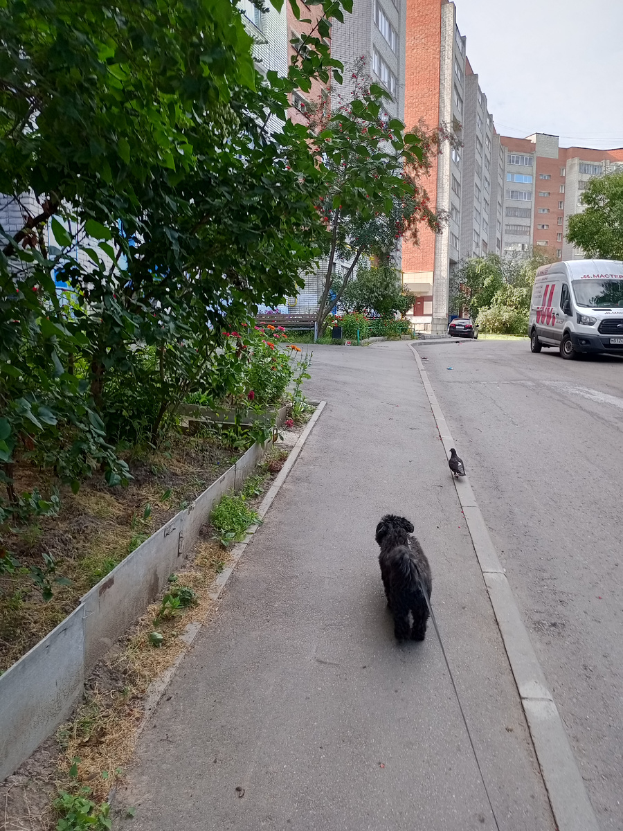 Мы уже нагулялись и ножки размяли