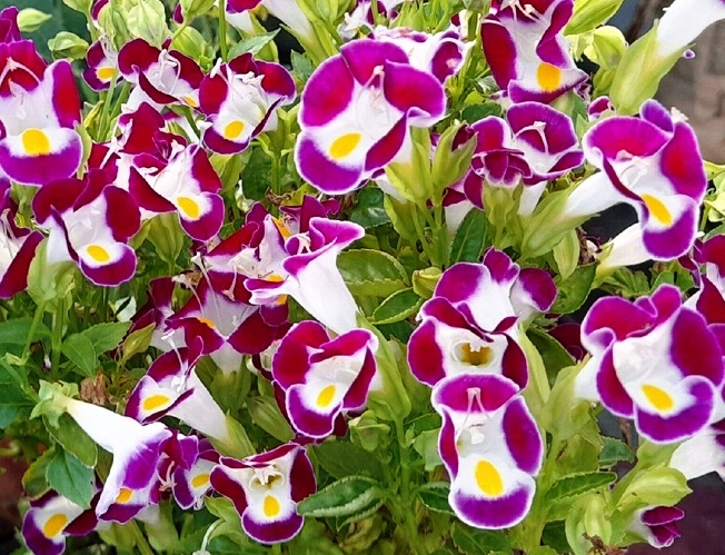 Фото автора канала