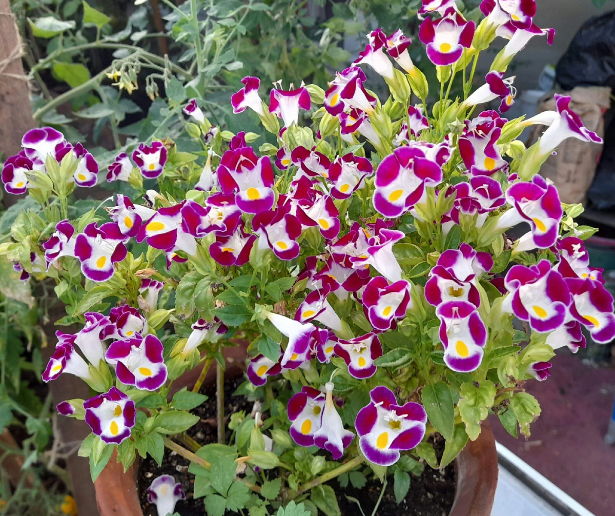 Фото автора канала