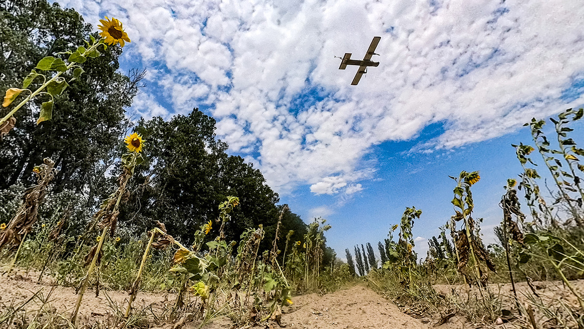   Алексей Коновалов / ТАСС