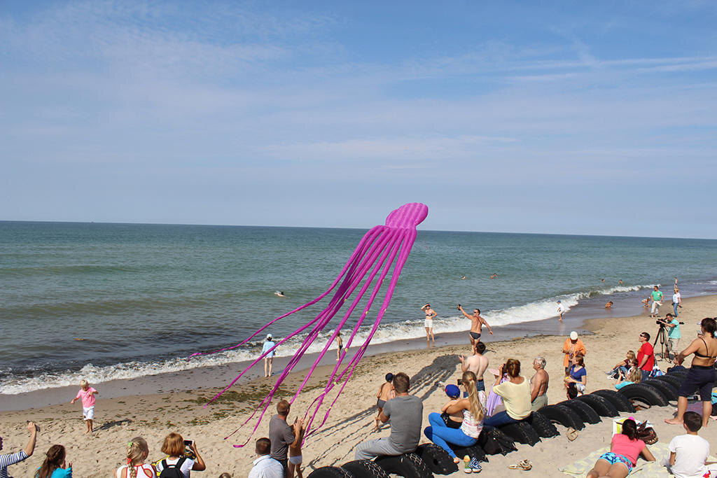 День полётов над Куршской косой проходит каждый август. Фото: портал "Новости 39 регион"