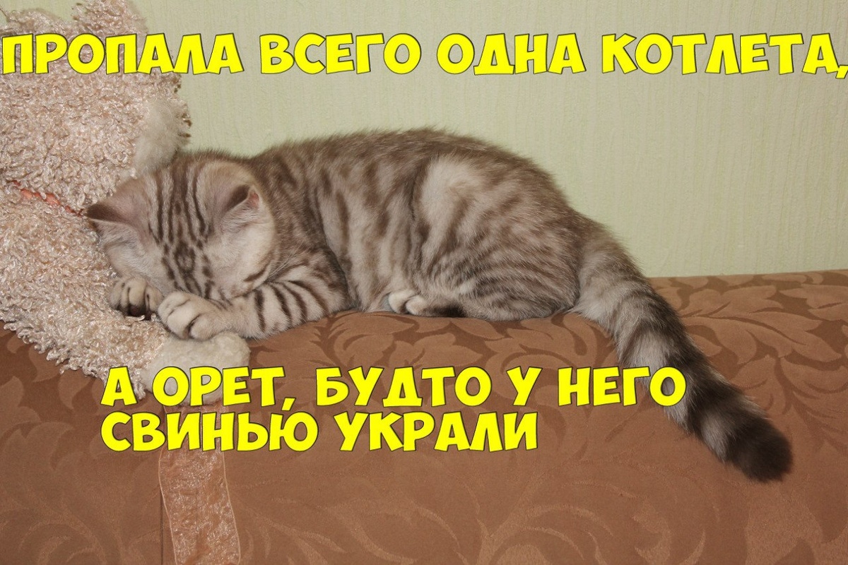 источник Яндекс-картинки